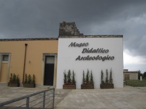 MUSEO CAVALLINO