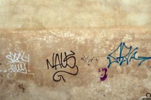vandalismo sui muri