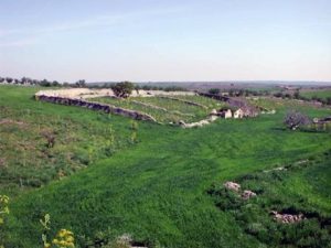 PARCO DELL'ALTA MURGIA