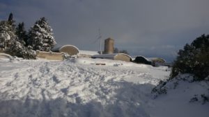 Azienda in contrada Tafuri Castellaneta