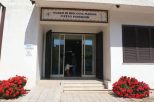 museo biologia marina