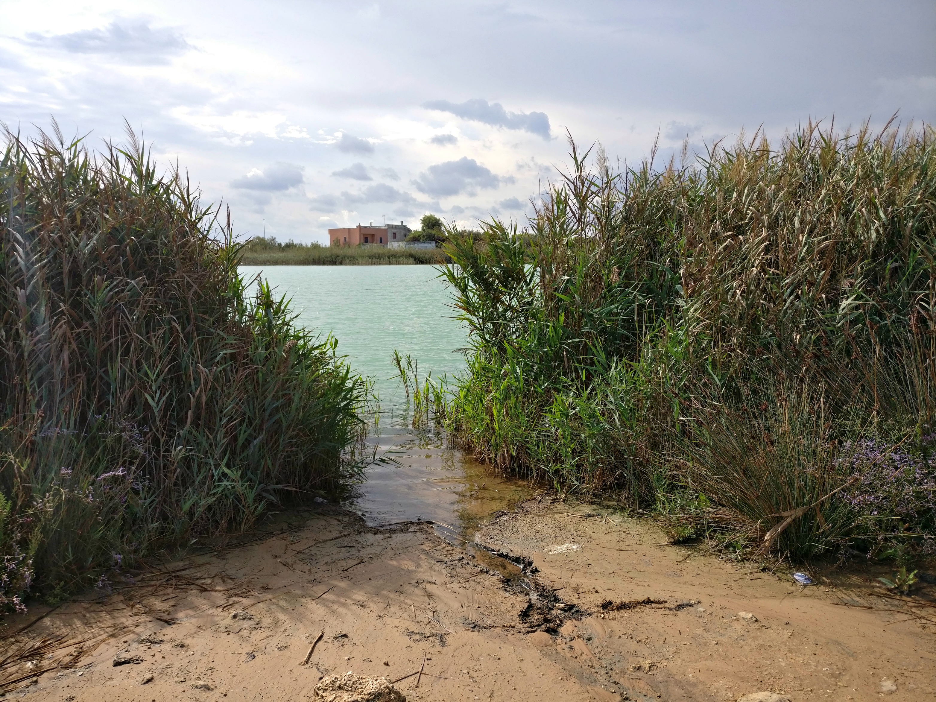 Lecce è Il Suo Mare Passeggiata Di Comunità A Torre Chianca