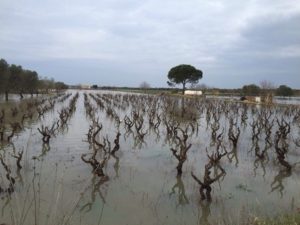 Allagamenti nel Salento provocati dal maltempo (foto collaboratrice Stefania Congedo - 7 marzo 2015)