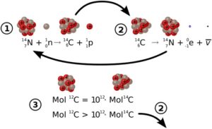 carbonio14